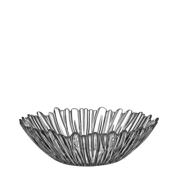 AURORA Plate