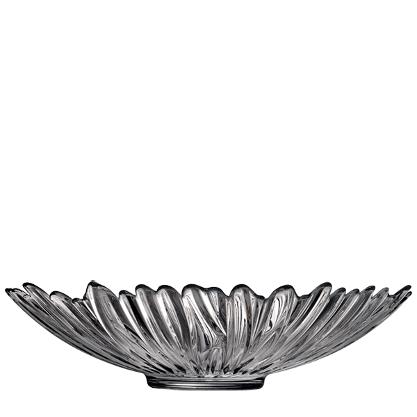 AURORA Plate 3700 cc