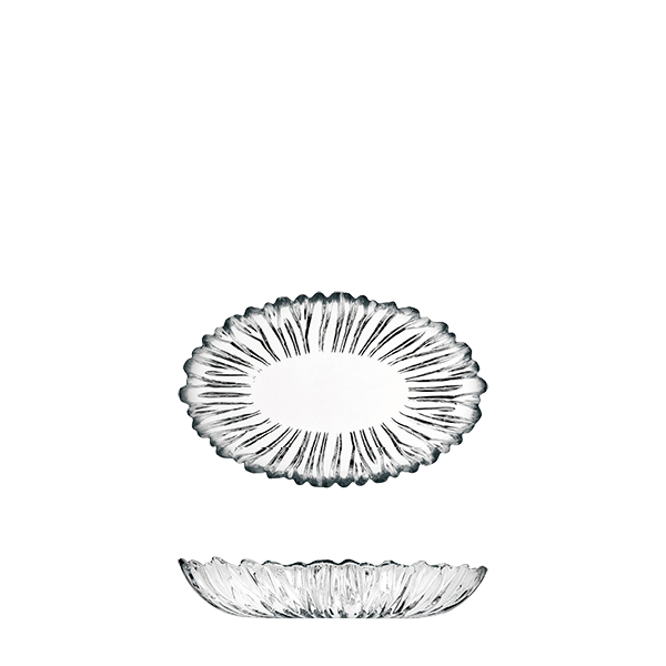 AURORA Plate