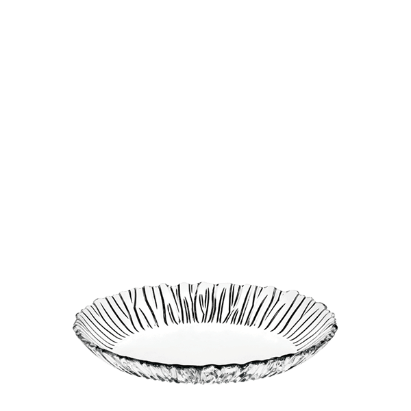 AURORA Plate