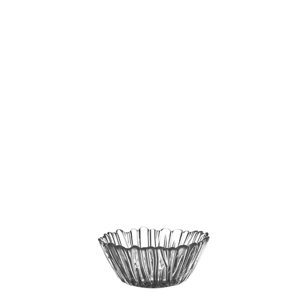 AURORA Plate