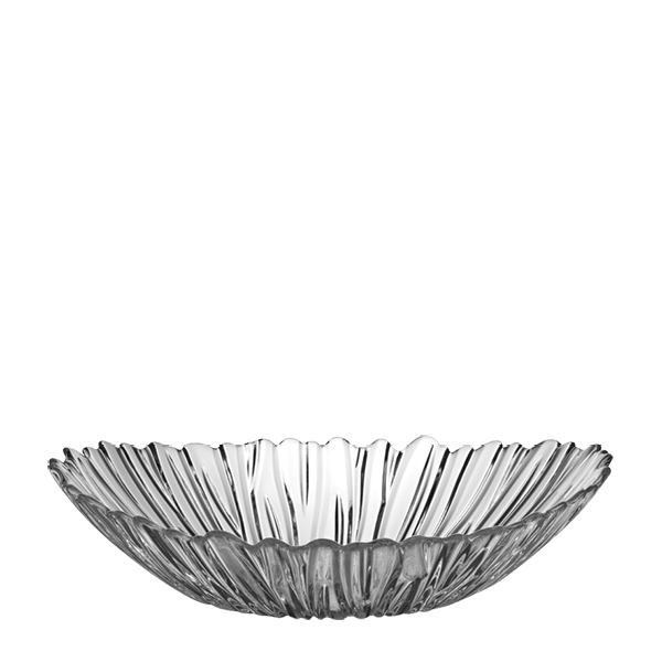 AURORA Plate thumbnail 2