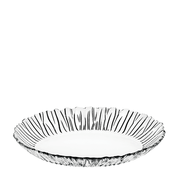 AURORA Plate