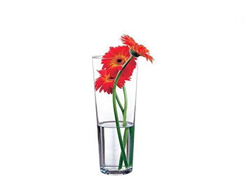 BOTANICA Vase
