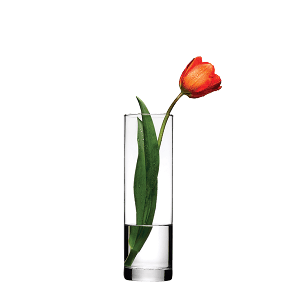 BOTANICA Vase thumbnail 2