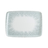 IRIS Presentation Plate