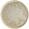 SNELL Presentation Plate